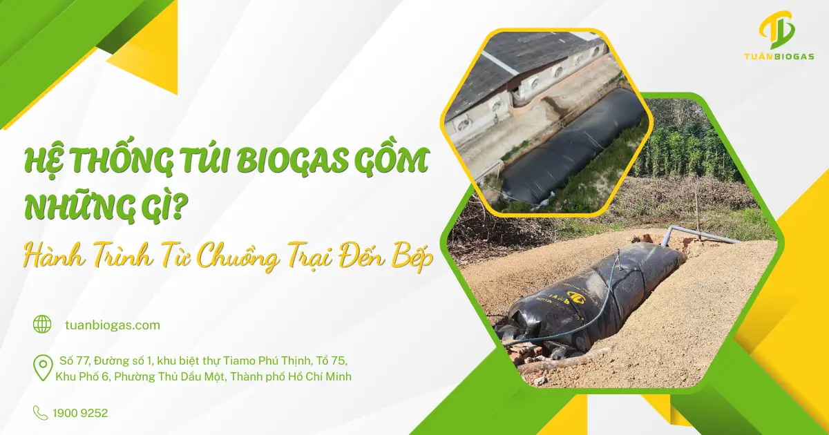 Hệ Thống Túi Biogas Gồm Những Gì? Hành Trình Từ Chuồng Trại Đến Bếp Nhà Bạn